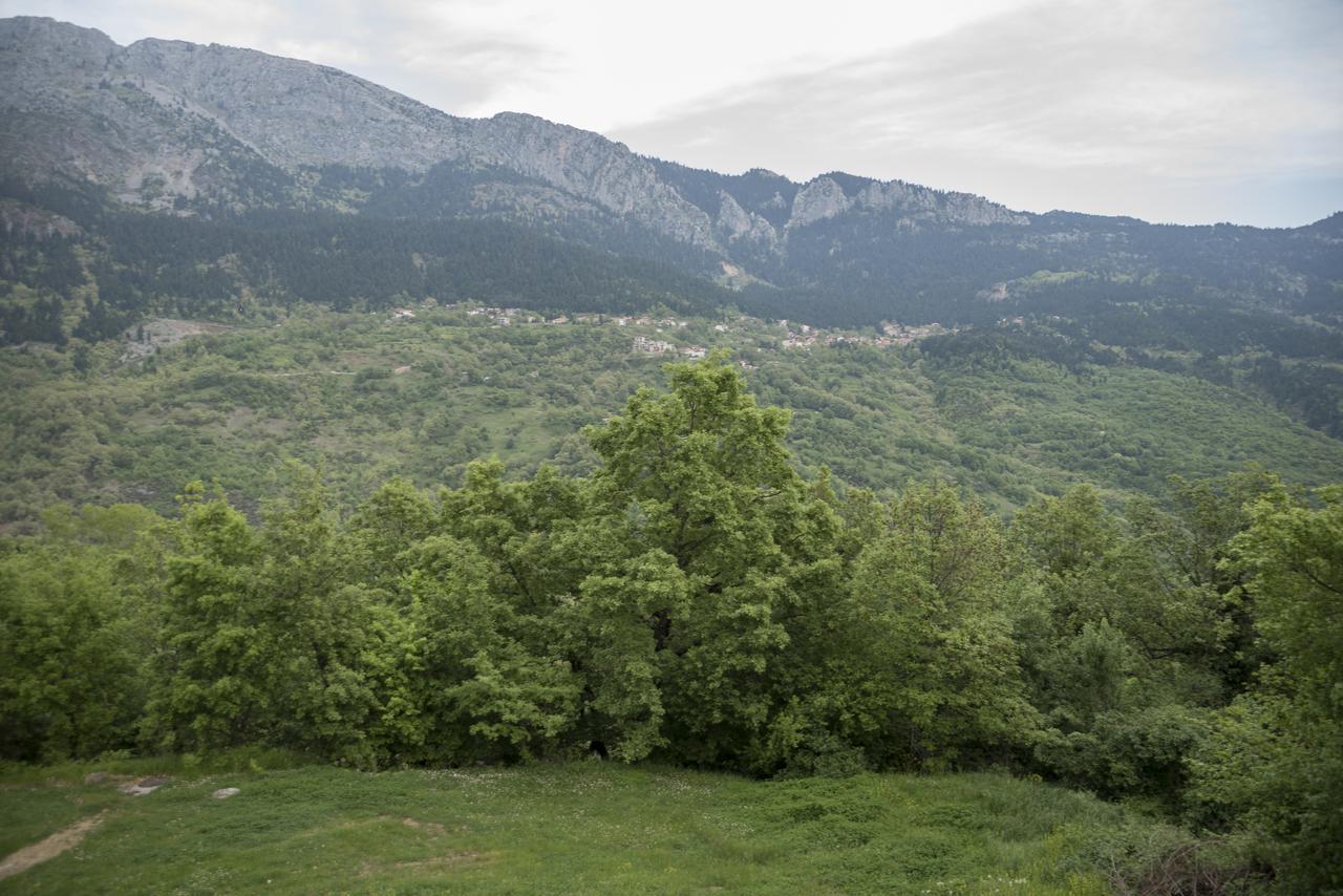Archontiko Christodoulou Aparthotel Vronterón Kültér fotó